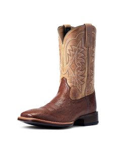 Botas Occidentales Ariat Night Life Ultra Hombre Multicolor | SDRI60287