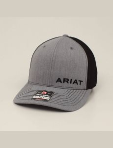 Gorras Ariat Offset Logo Hombre Gris | WPEL08345