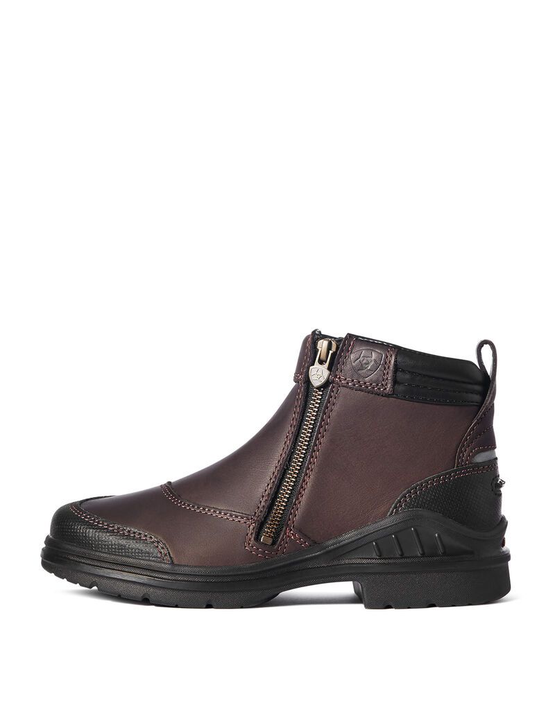 Botas De Montar A Caballo Ariat Barnyard Side Zip Mujer Marrones Oscuro | ZUTY03465