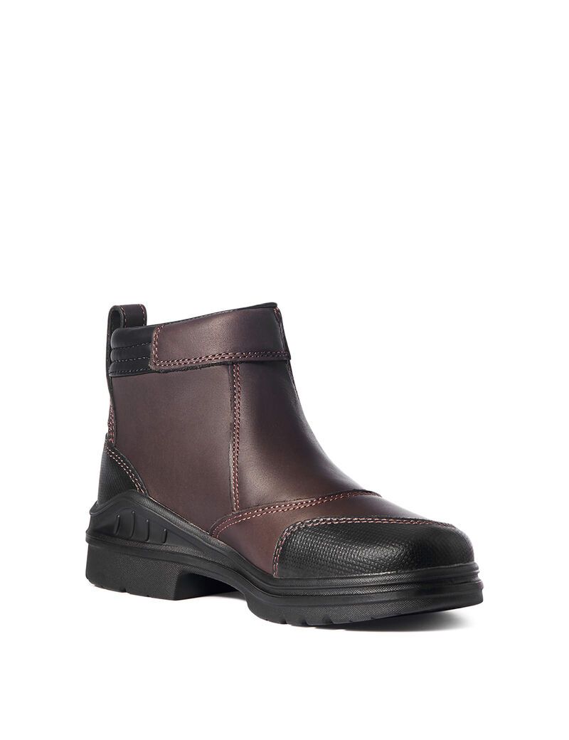 Botas De Montar A Caballo Ariat Barnyard Side Zip Mujer Marrones Oscuro | ZUTY03465