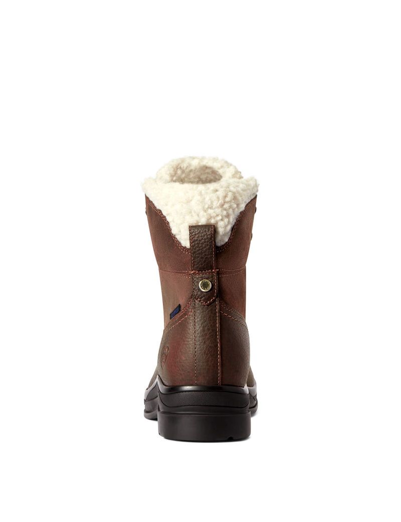 Botas De Montar A Caballo Ariat Harper Impermeables Mujer Marrones Oscuro | NGSB06324