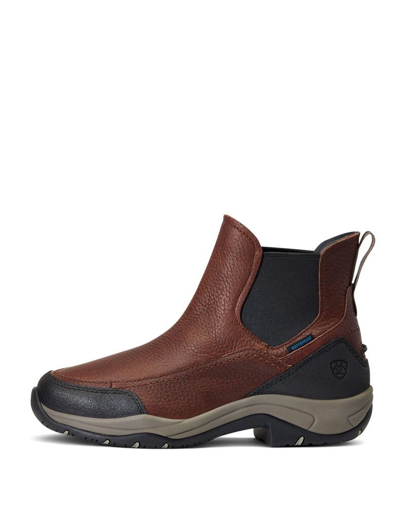 Botas De Montar A Caballo Ariat Terrain Blaze Impermeables Mujer Marrones Oscuro | QPBD08795