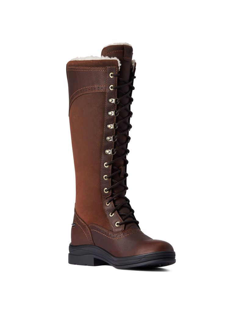 Botas De Montar A Caballo Ariat Wythburn Altas Impermeables Mujer Marrones Oscuro | IGJR96754