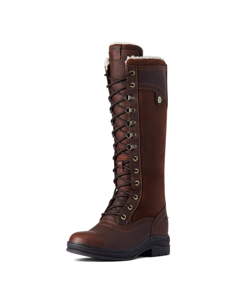 Botas De Montar A Caballo Ariat Wythburn Altas Impermeables Mujer Marrones Oscuro | IGJR96754