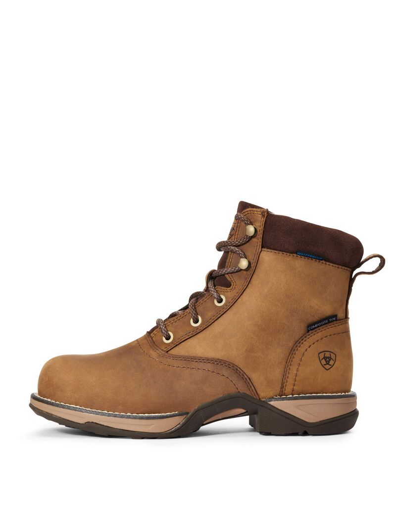 Botas De Trabajo Ariat Anthem Round Puntera Lacer Impermeables Composite Puntera Mujer Marrones | BXMZ38571