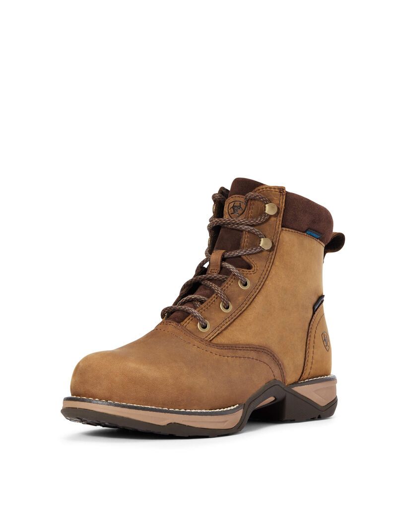 Botas De Trabajo Ariat Anthem Round Puntera Lacer Impermeables Composite Puntera Mujer Marrones | BXMZ38571