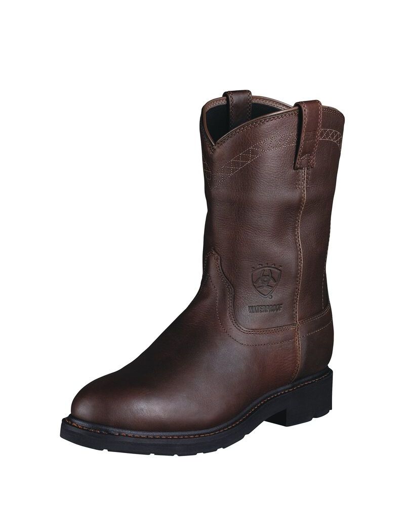 Botas De Trabajo Ariat Sierra Impermeables Hombre Multicolor | DGBU41396