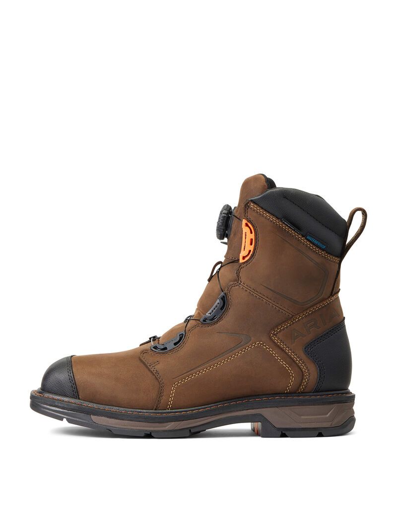 Botas De Trabajo Ariat WorkHog XT 8' BOA Impermeables Carbon Puntera Hombre Chocolate Marrones | YZIN50972