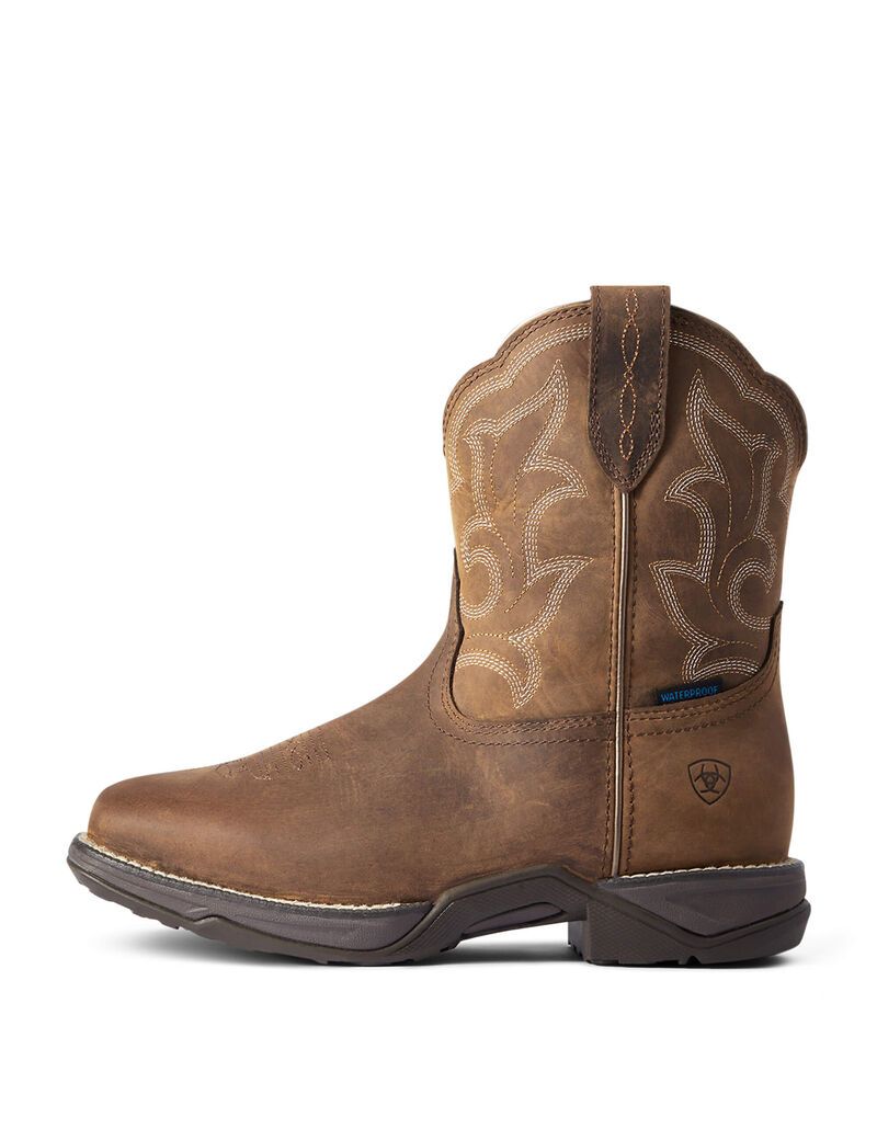 Botas Impermeables Ariat Anthem Shortie II Western Mujer Marrones | OGSC53701