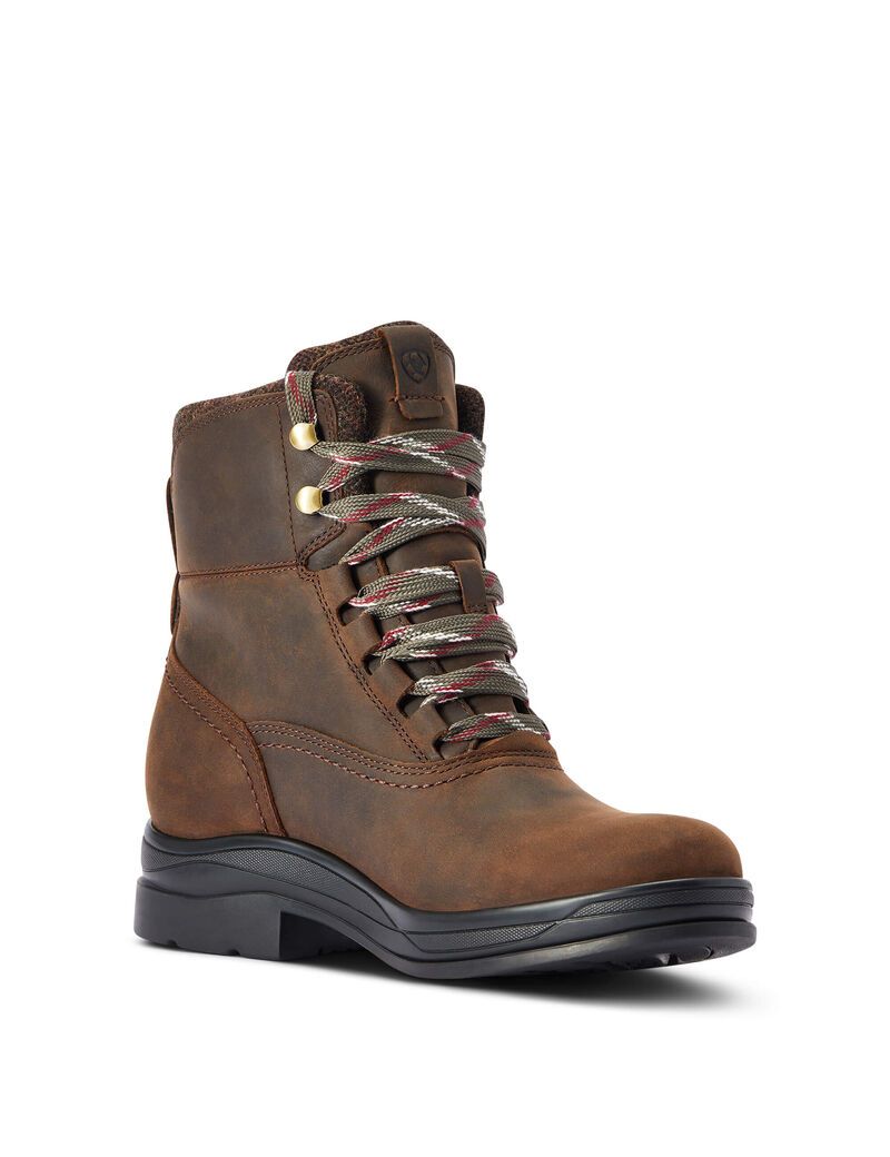 Botas Impermeables Ariat Harper Impermeables Mujer Chocolate | GUPA30917