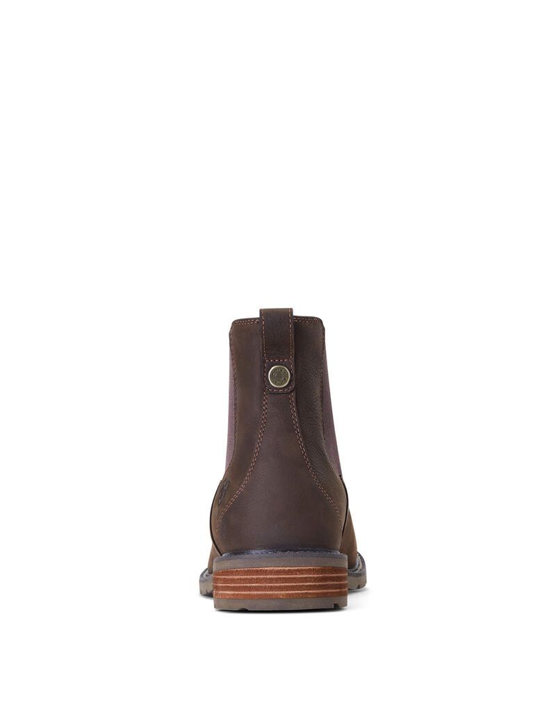 Botas Impermeables Ariat Wexford Impermeables Hombre Multicolor | EHUW17034