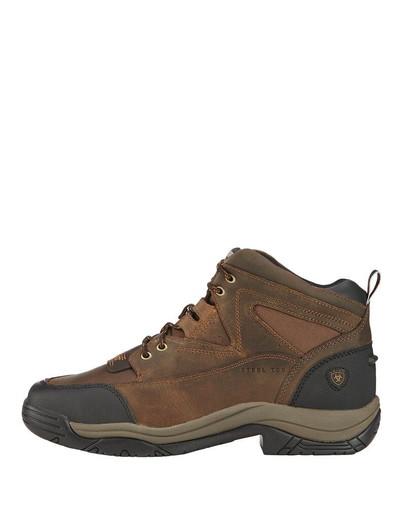 Botas Montaña Ariat Terrain Anchos Square Puntera Steel Puntera Trabajo Hombre Marrones | EPNX49832