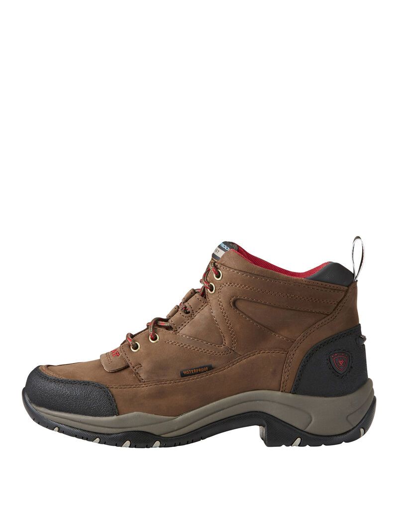 Botas Montaña Ariat Terrain Impermeables Mujer Marrones | CTQH74961