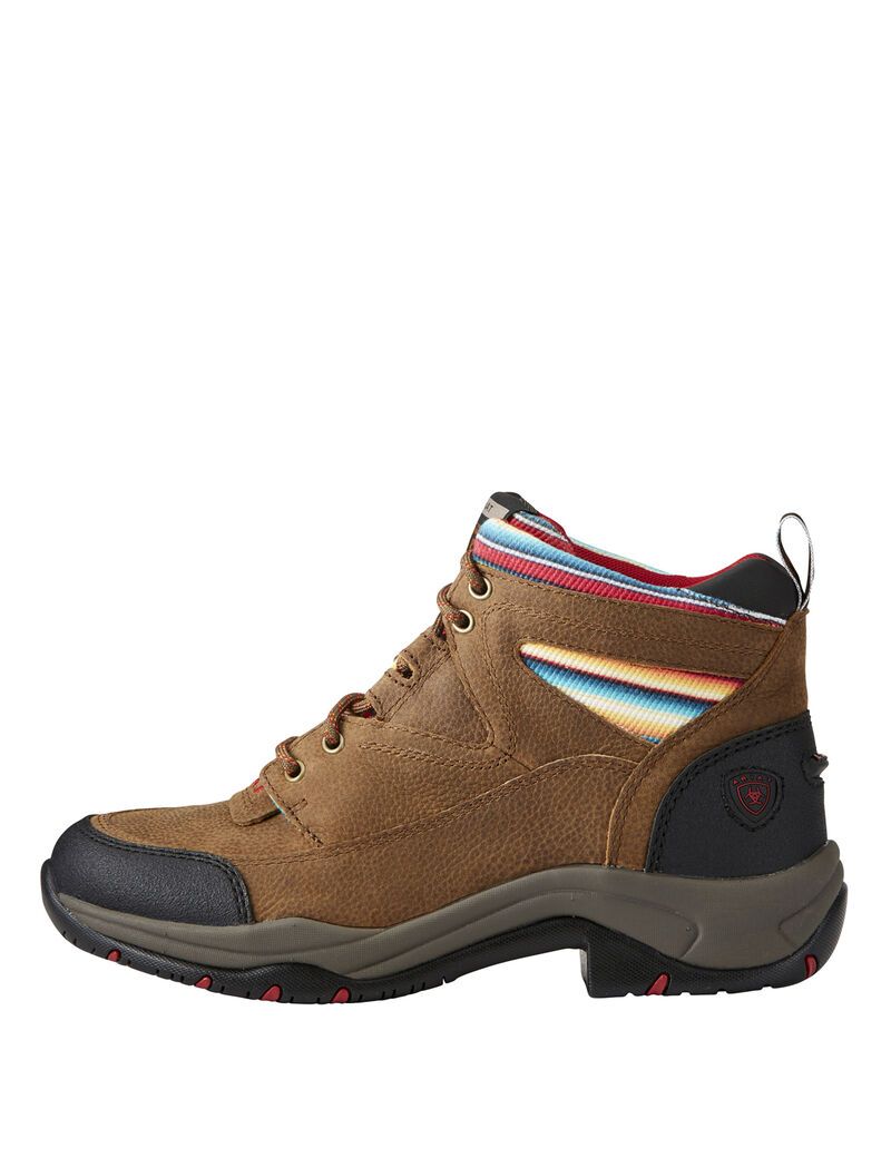 Botas Montaña Ariat Terrain Mujer Multicolor | JCSF27519