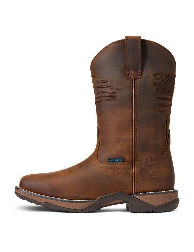 Botas Occidentales Ariat Anthem Patriot Impermeables Mujer Marrones | WJHG07912