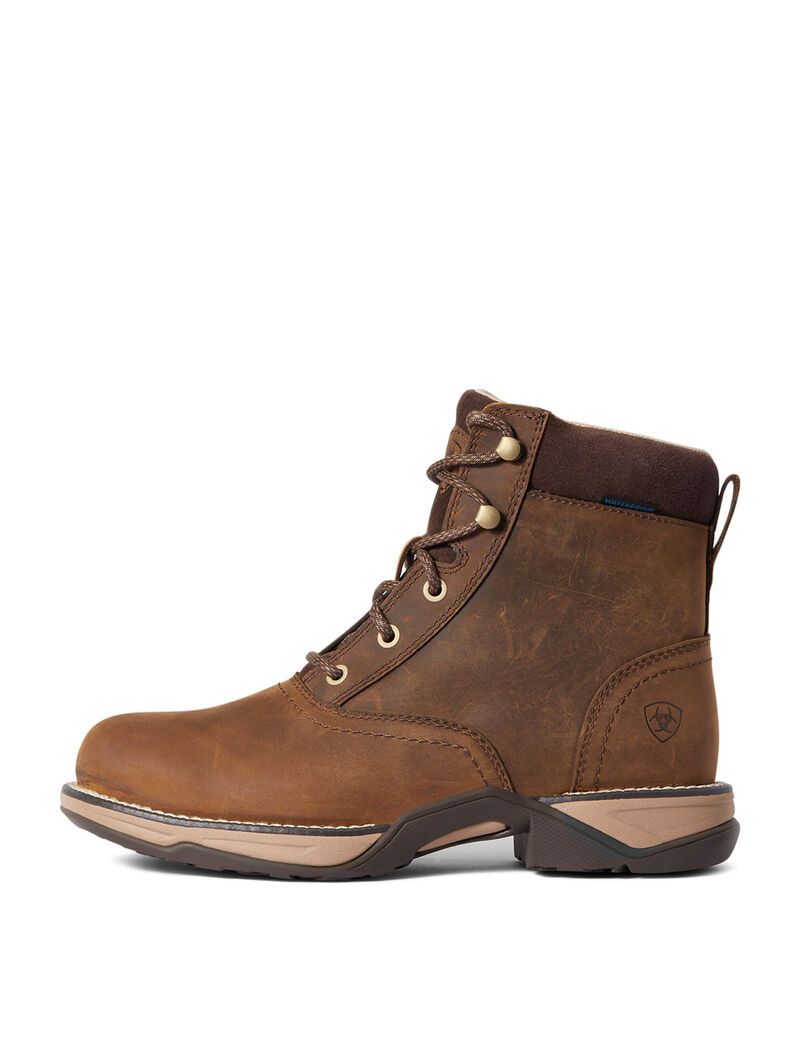 Botas Occidentales Ariat Anthem Round Puntera Lacer Impermeables Mujer Marrones | EPVA62918