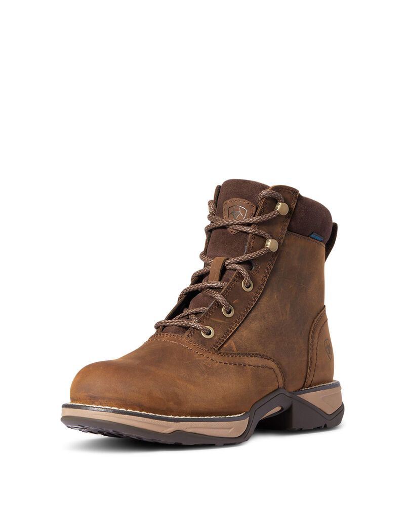 Botas Occidentales Ariat Anthem Round Puntera Lacer Impermeables Mujer Marrones | EPVA62918