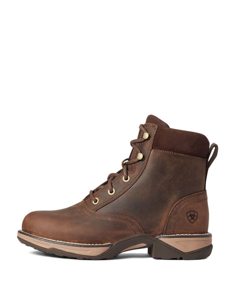 Botas Occidentales Ariat Anthem Round Puntera Lacer Mujer Marrones | OAKB50938