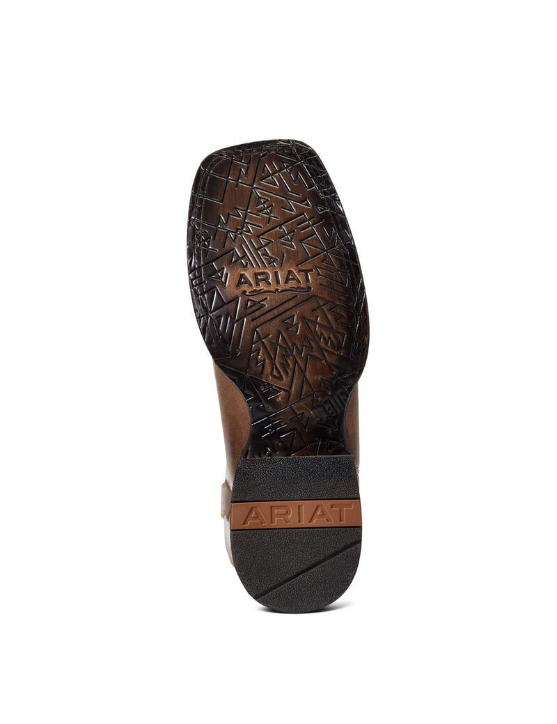 Botas Occidentales Ariat Circuit Savanna Mujer Gris Marrones | MXNT94108