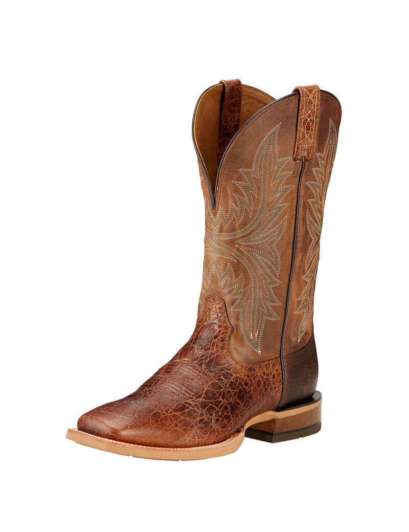 Botas Occidentales Ariat Cowhand Hombre Multicolor | IULP82673