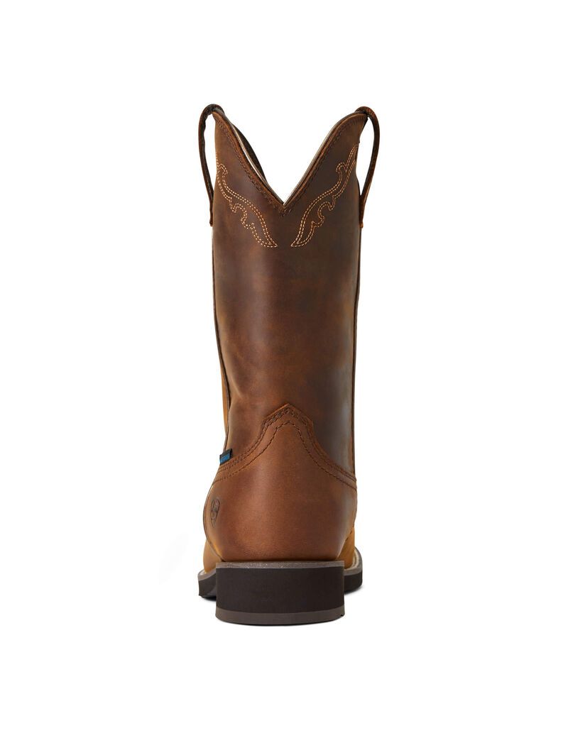 Botas Occidentales Ariat Delilah Round Puntera Impermeables Mujer Marrones | JLCF15740