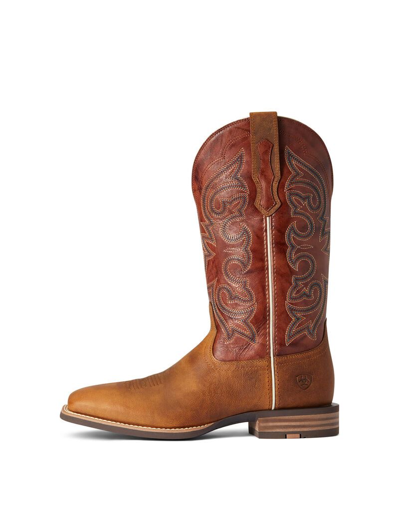 Botas Occidentales Ariat Everlite Go Getter Hombre Multicolor | DBVK57429