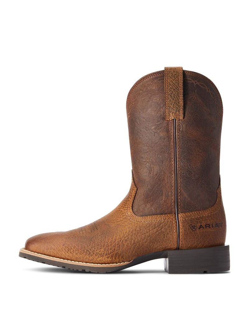 Botas Occidentales Ariat Híbrido Grit Hombre Multicolor | UAST53602