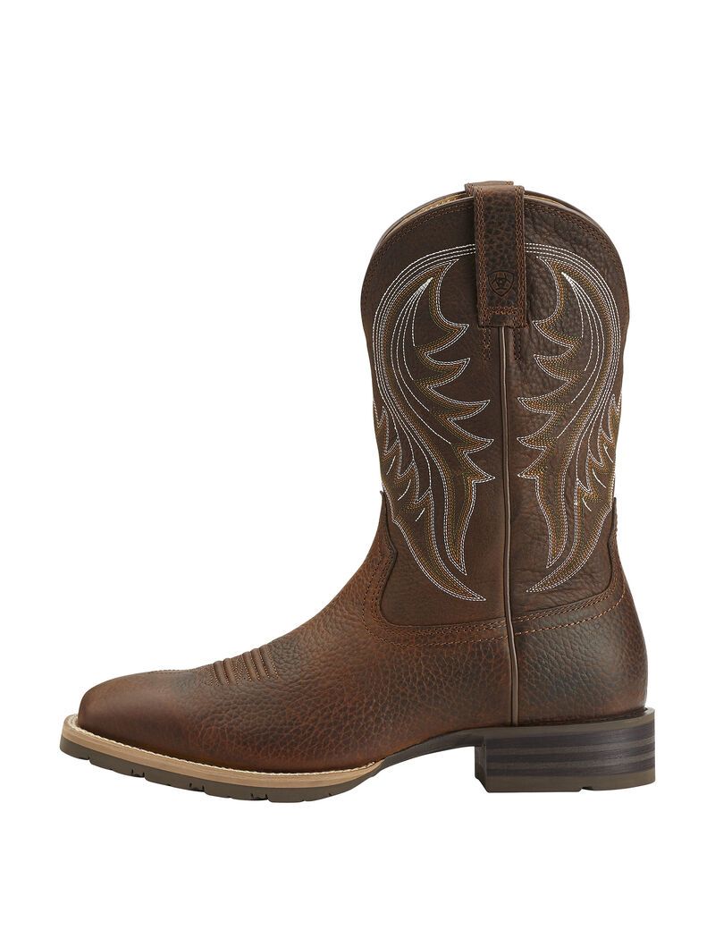 Botas Occidentales Ariat Híbrido Rancher Hombre Marrones | JZDK46750