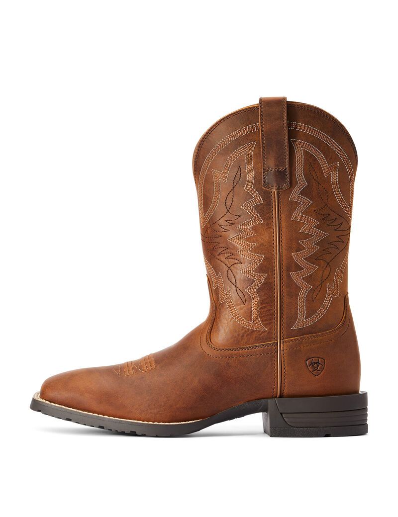 Botas Occidentales Ariat Híbrido Ranchwork Hombre Marrones | AGLF39728