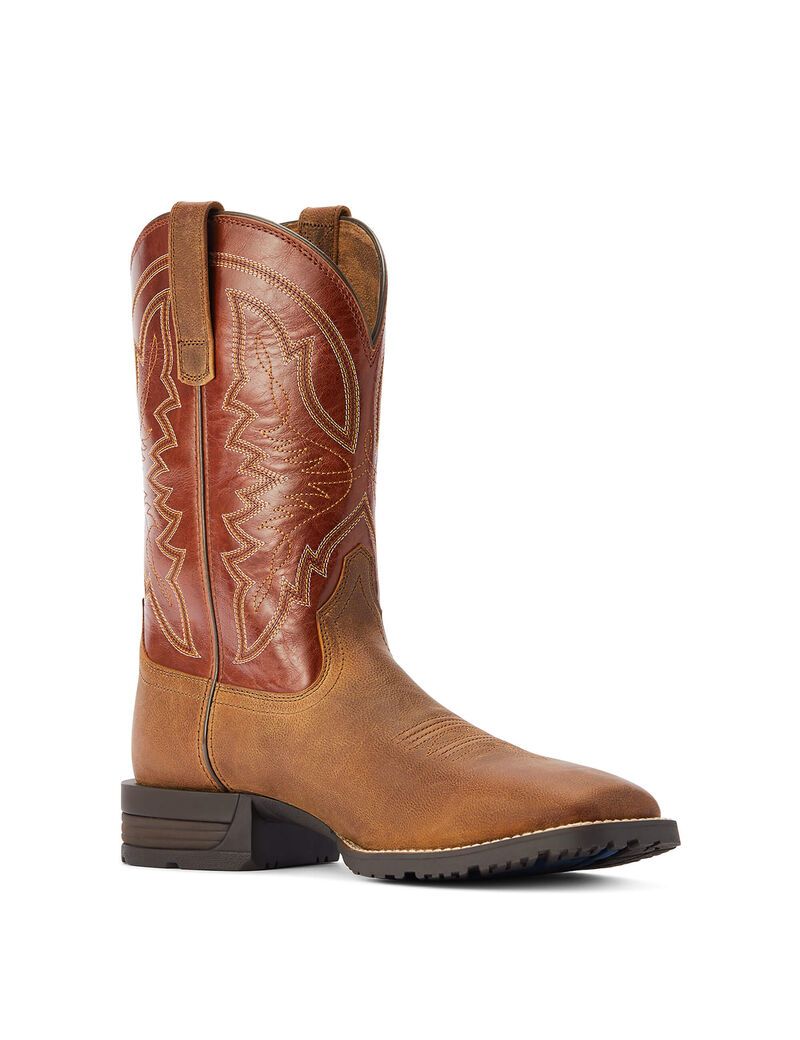 Botas Occidentales Ariat Híbrido Ranchwork Hombre Multicolor | SXQN68743