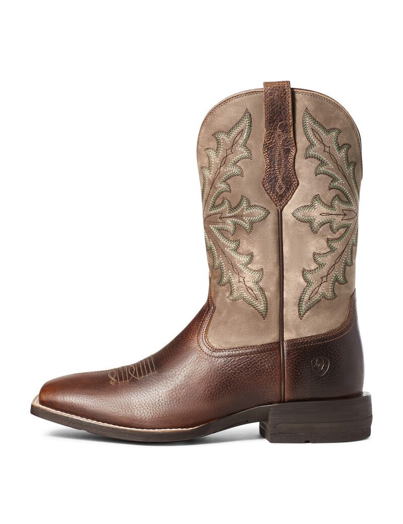 Botas Occidentales Ariat Qualifier Hombre Marrones | PIEJ93702