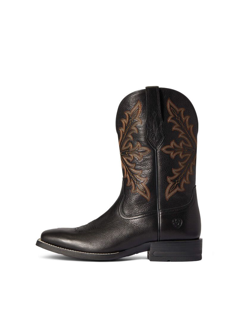 Botas Occidentales Ariat Qualifier Hombre Azules | WEXY49780