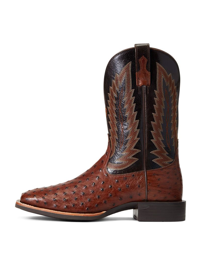 Botas Occidentales Ariat Quantum Primo Hombre Multicolor | POSI60317