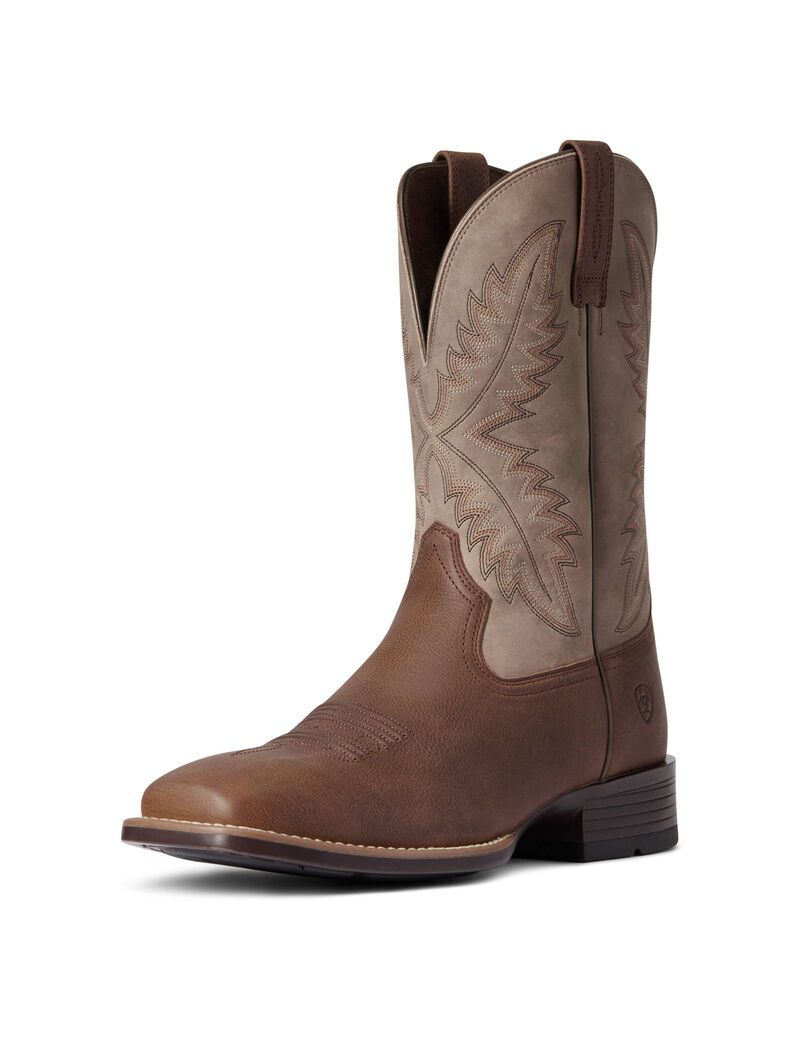 Botas Occidentales Ariat Rawly Ultra Hombre Marrones | RENB62047