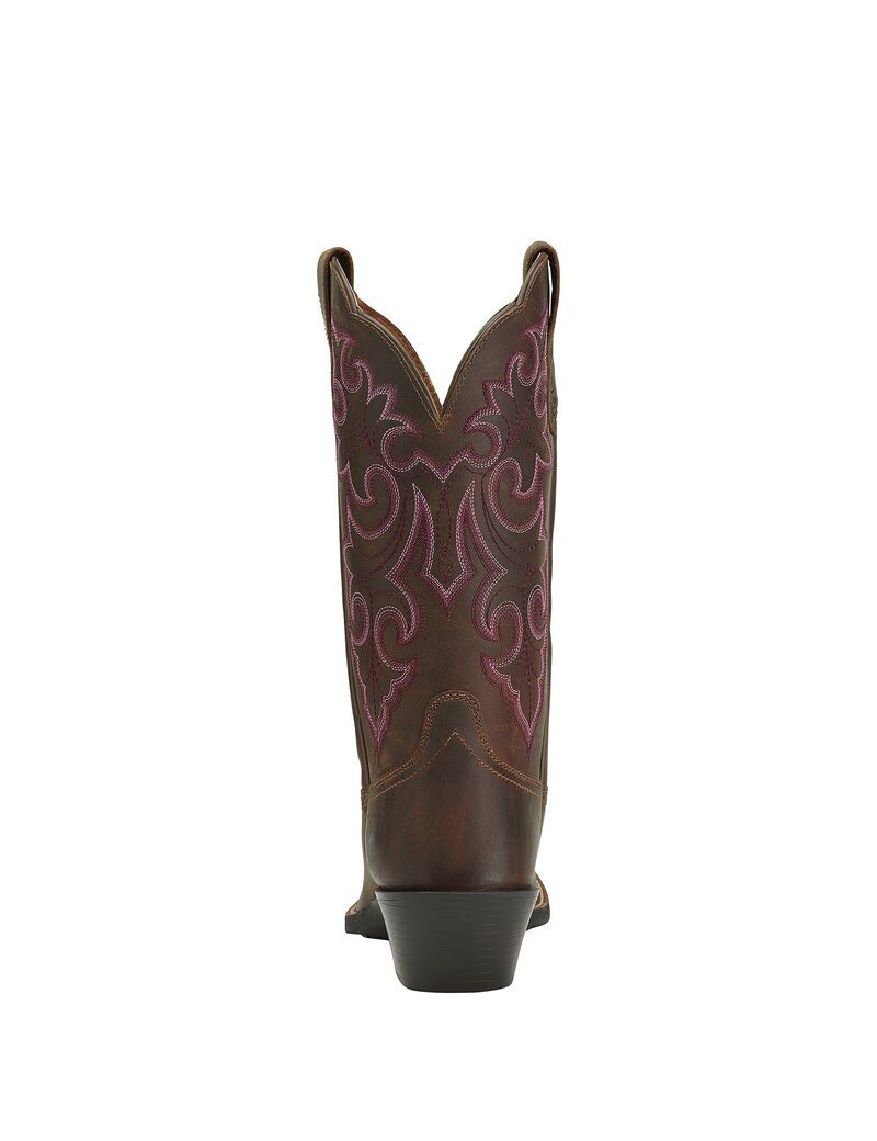 Botas Occidentales Ariat Round Up Square Puntera Mujer Marrones | ZWJQ40761