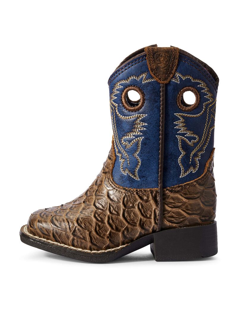 Botas Occidentales Ariat Stompers Orlando Niños Marrones | QRAV92103