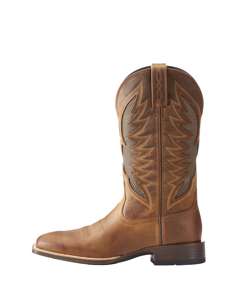 Botas Occidentales Ariat Venttek Ultra Hombre Marrones | FXTG45218