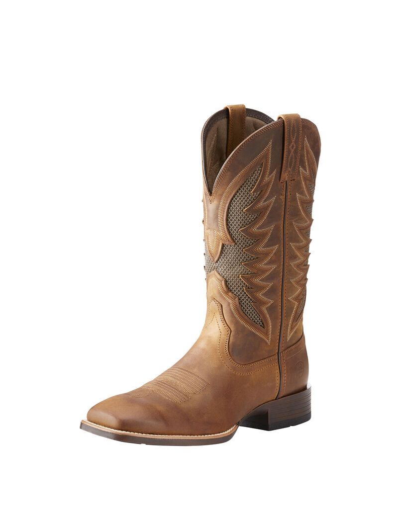 Botas Occidentales Ariat Venttek Ultra Hombre Marrones | FXTG45218