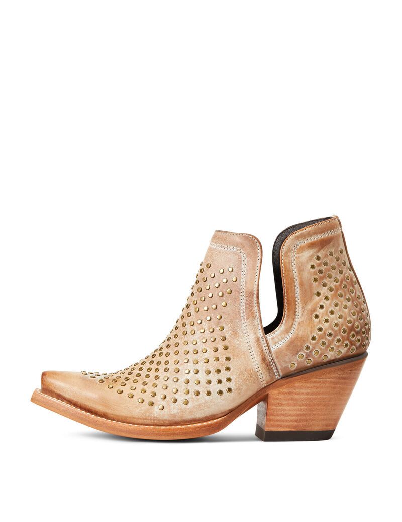 Botines Ariat Dixon Studs Western Mujer Marrones | RLKF69312