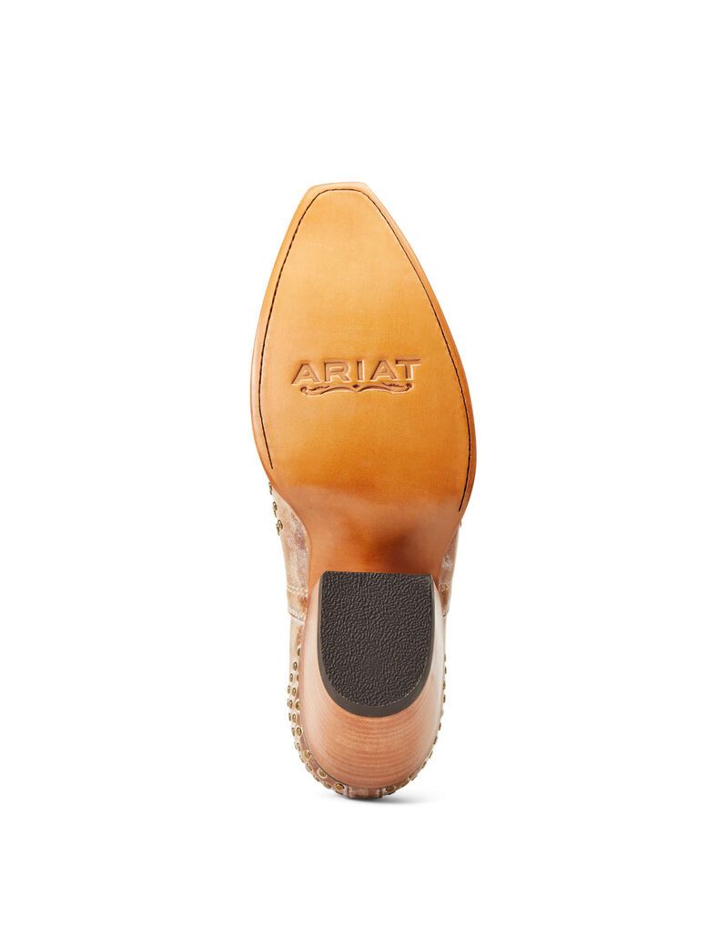 Botines Ariat Dixon Studs Western Mujer Marrones | RLKF69312