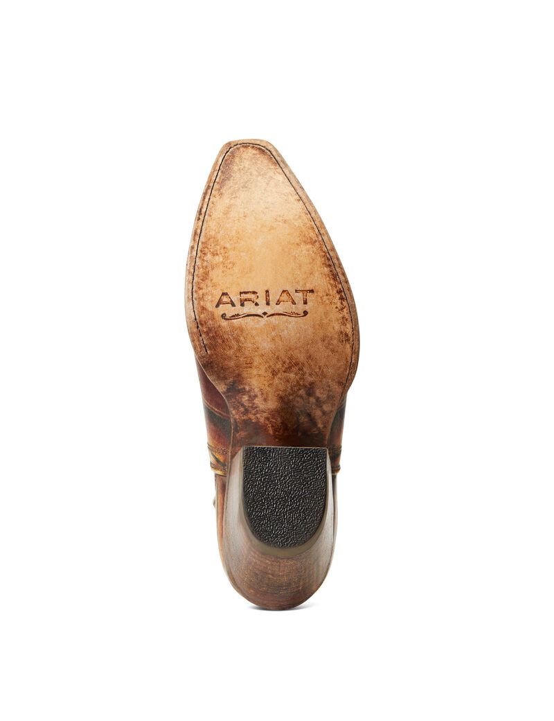 Botines Ariat Dixon Western Mujer Multicolor | EJZF03492