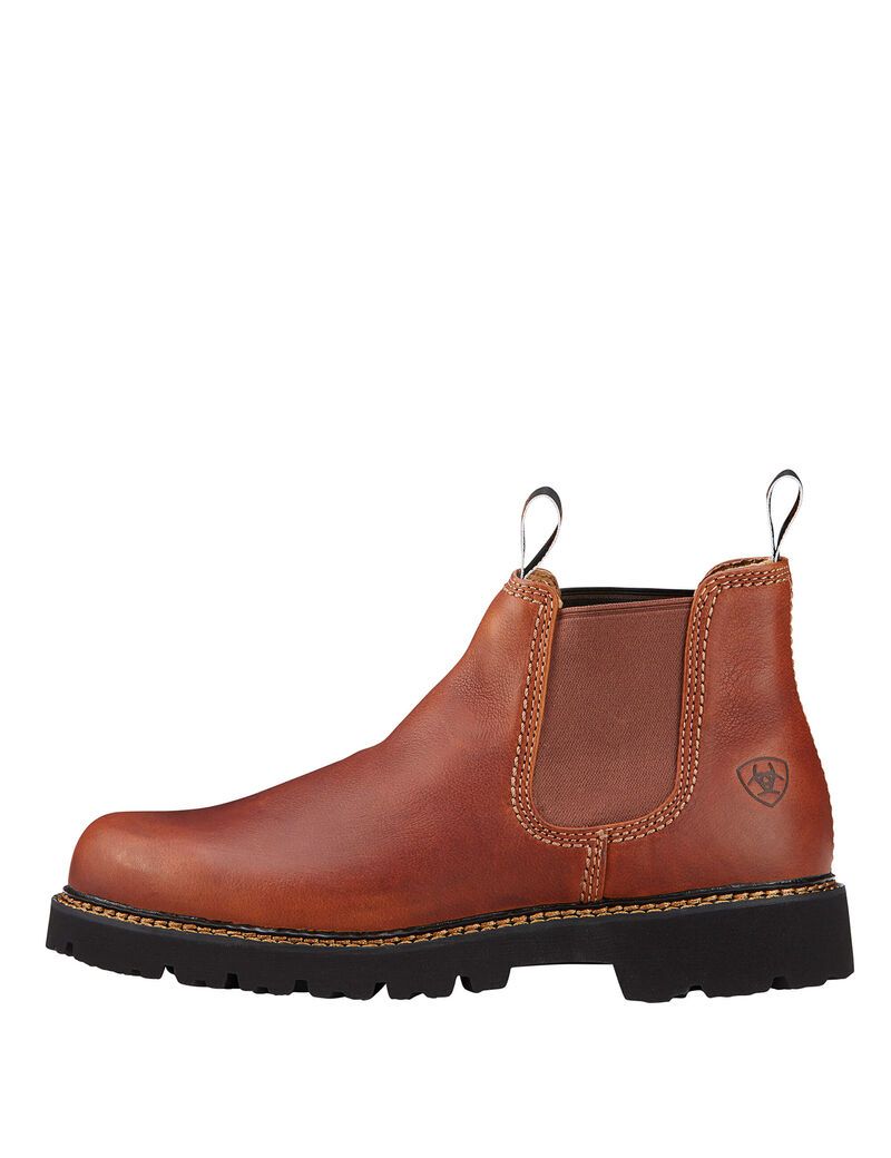 Botines Chelsea Ariat Spot Hog Hombre Multicolor | IMYD42185