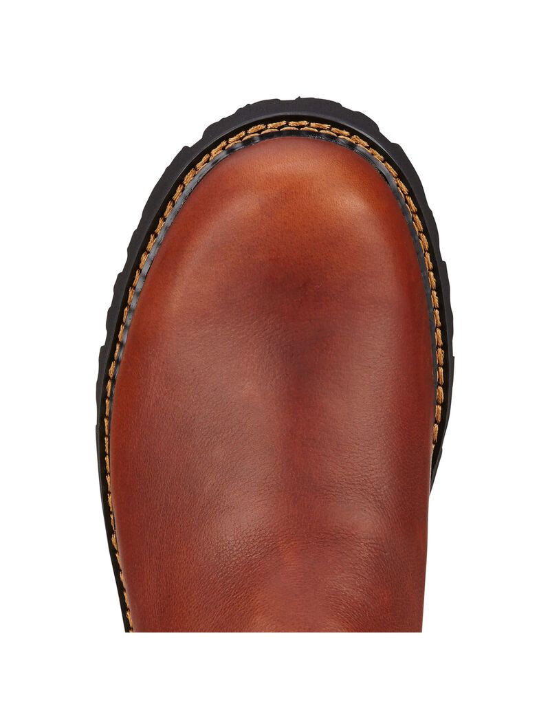 Botines Chelsea Ariat Spot Hog Hombre Multicolor | IMYD42185