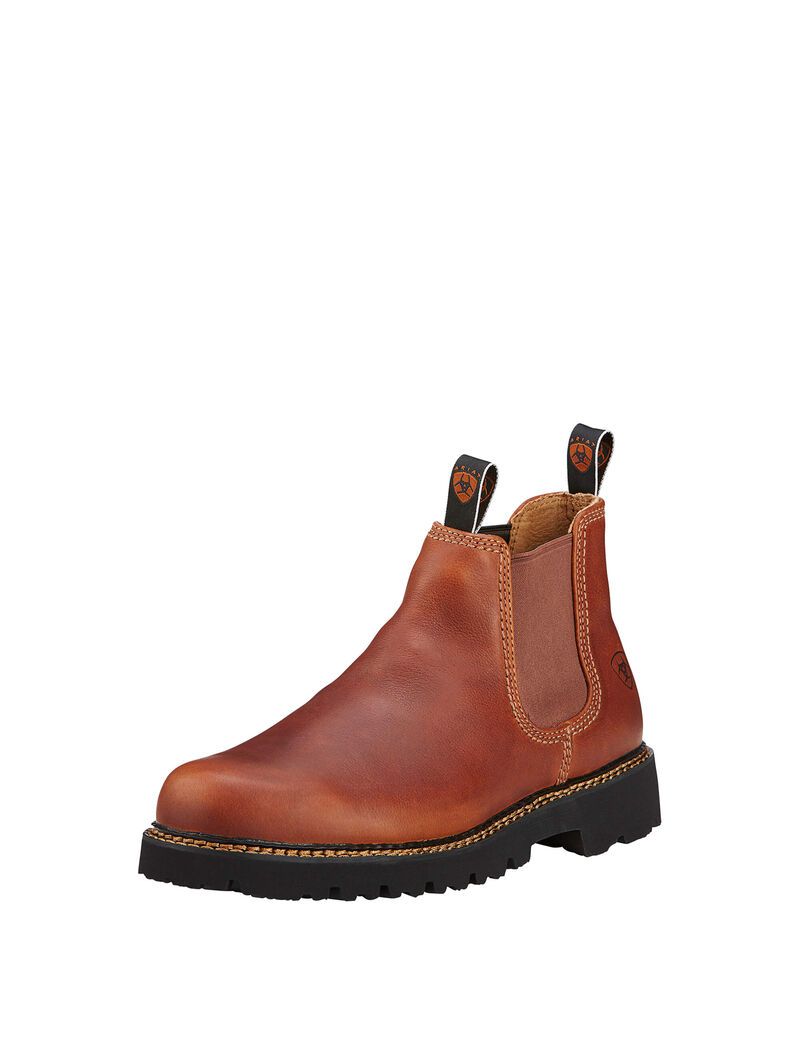 Botines Chelsea Ariat Spot Hog Hombre Multicolor | IMYD42185