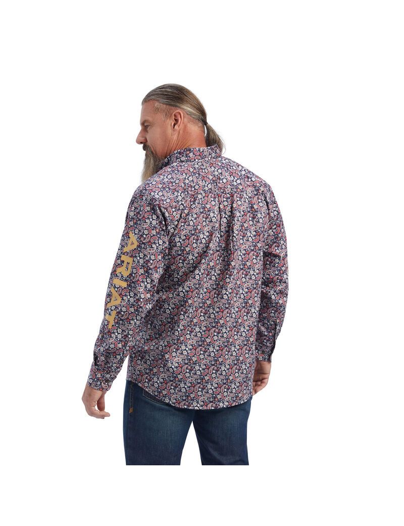 Camisas Ariat FR Werner Logo Trabajo Hombre Multicolor | DNHG59763