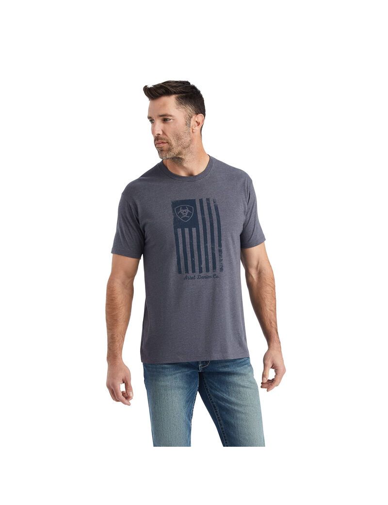 Camiseta Ariat Faded Hombre Titanium | PVHO18629