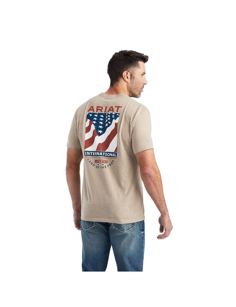 Camiseta Ariat Flag Flow Hombre Beige | RQHD53106