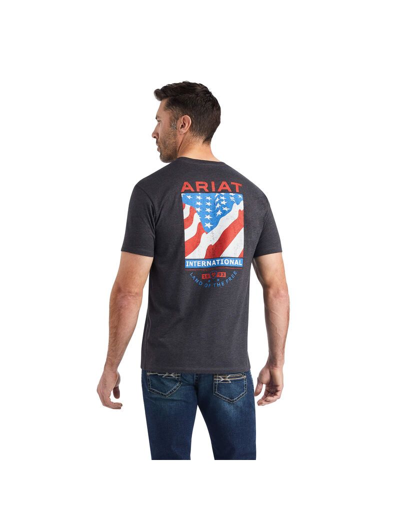 Camiseta Ariat Flag Flow Hombre Gris | BQIC07825