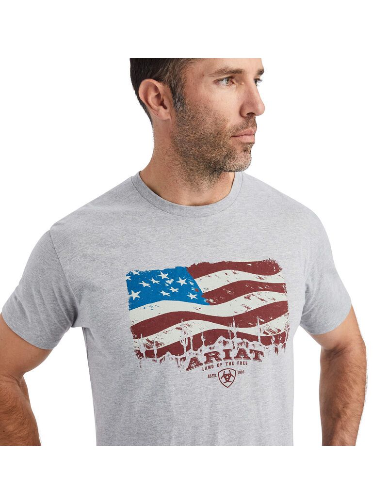 Camiseta Ariat Flagscape Hombre Multicolor | ZDRG62140