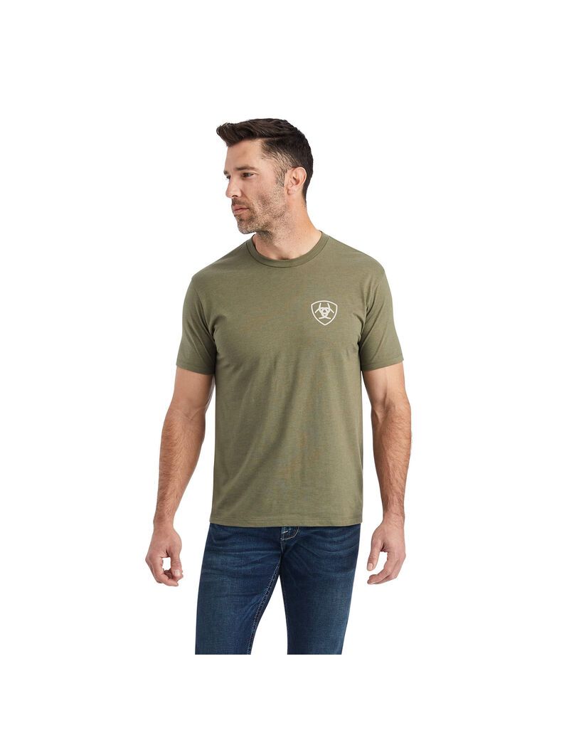 Camiseta Ariat Hexafill Hombre Multicolor | FAVR10842